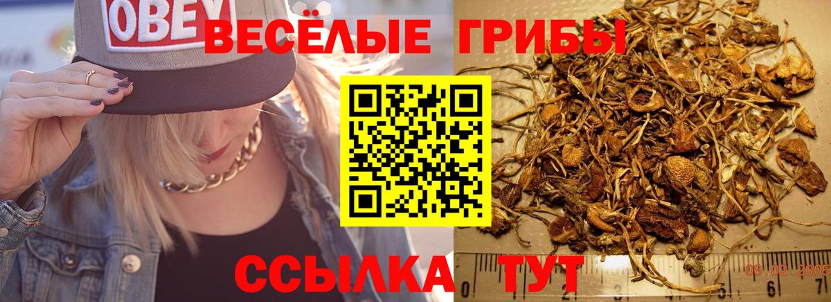Полевской  продажа наркотиков  Вход с VPN  Псилоцибиновые грибы MAGIC MUSHROOMS 